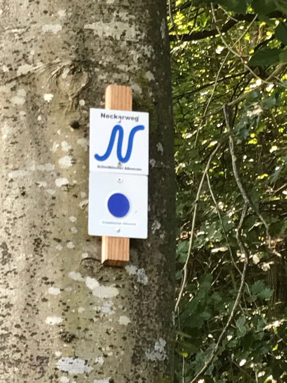 Tag_01_09.jpeg