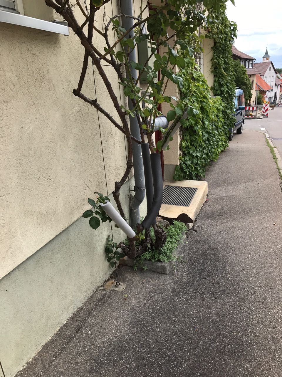 Tag_03_18.jpeg